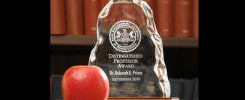 Distinguished Professor Award