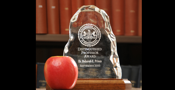 Distinguished Professor Award