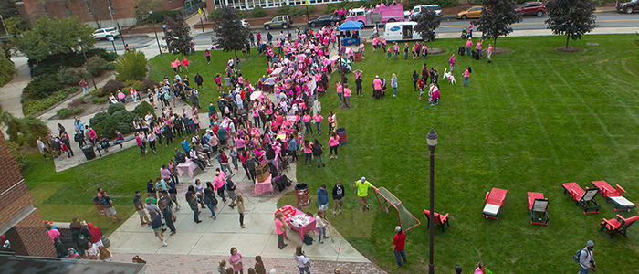 Pink Light Walk