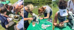 Elementary School students participate in Science Sunday at the Delaware Water Gap National Recreation Area.