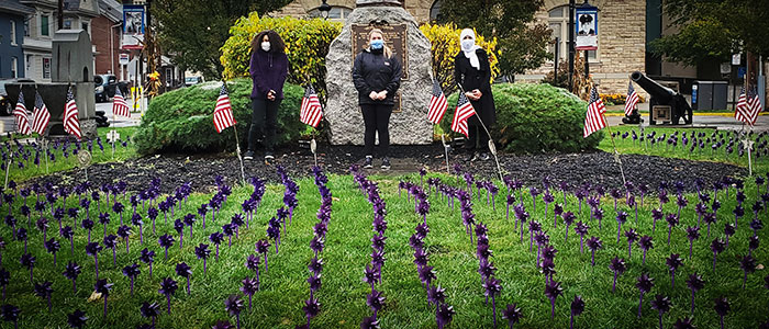 purple pinwheels in the grass in courthouse square
