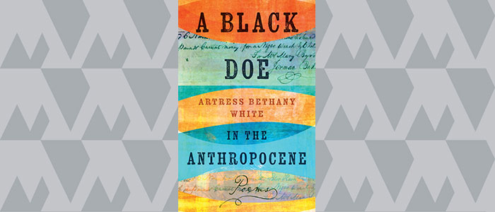 doe in the anthropocene