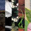 Madelon Powers Gallery Community Curators Exhibition