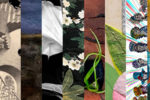 Madelon Powers Gallery Community Curators Exhibition