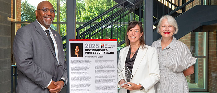 Distinguished Professor Award Farris-LaBar