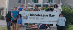 Chincoteague Bay