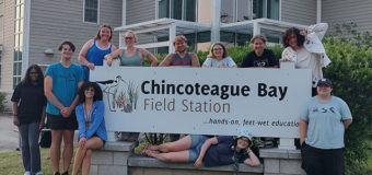 Chincoteague Bay